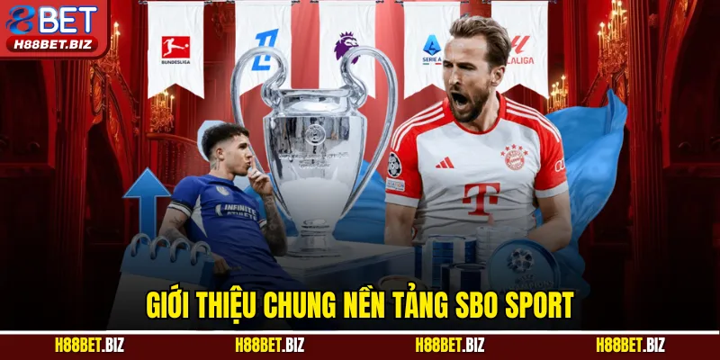 Giới thiệu chung nền tảng SBO Sport