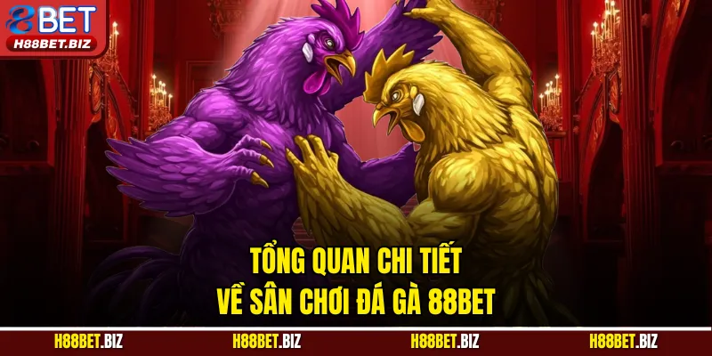 Tổng quan chi tiết về sân chơi đá gà 88BET